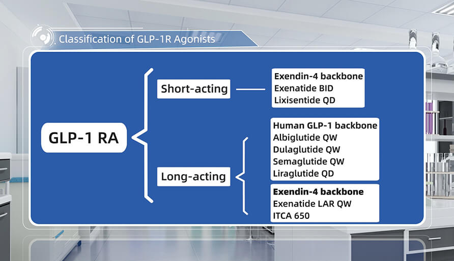 GLP-1R激動劑的分類