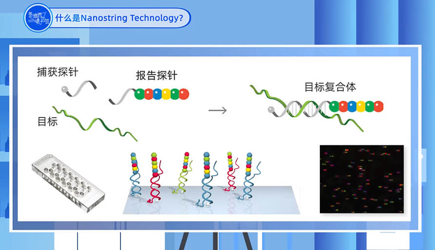 什麽是Nanostring 技術？