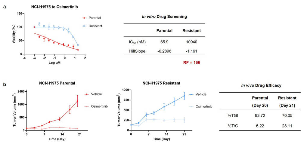 圖3-NCI-H1975_奧希替尼耐藥模型實驗結果.jpg