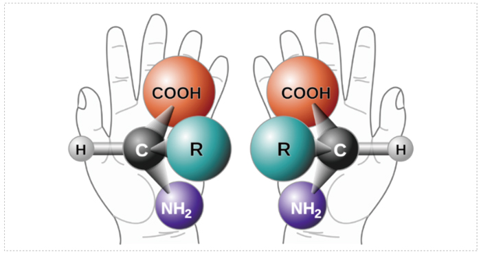 圖-1-手性的概念.jpg