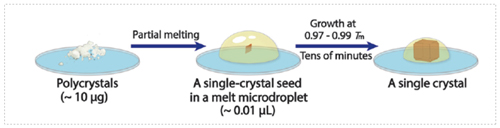 圖3-熔體微滴生長單晶.jpg