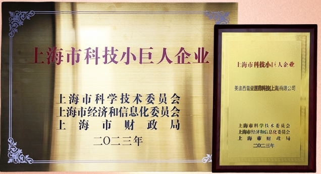 科技創新，權威再證！hjc黄金城獲“2023年上海市科技小巨人企業”授牌