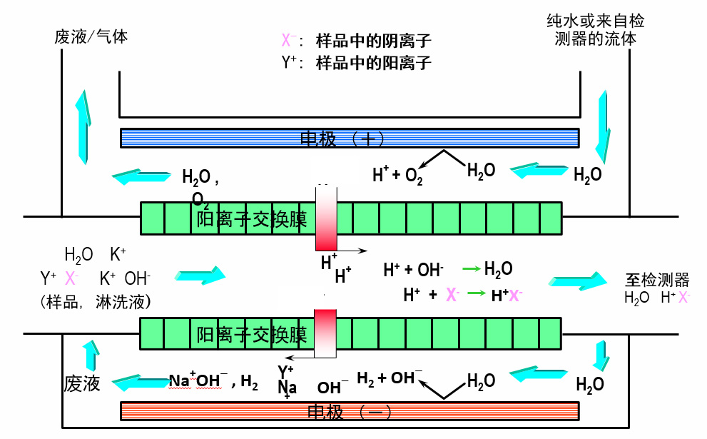 離子色譜電解抑製器的抑製原理.jpg