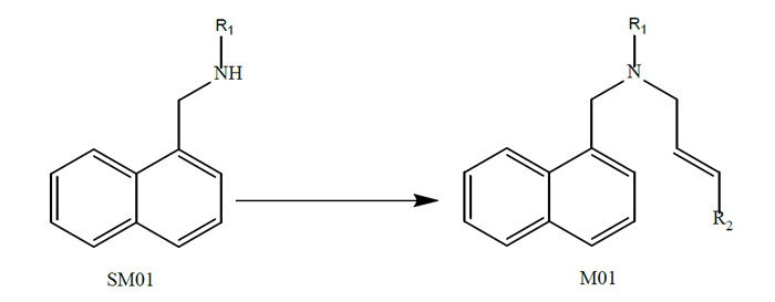 中間體M01的ROS.jpg