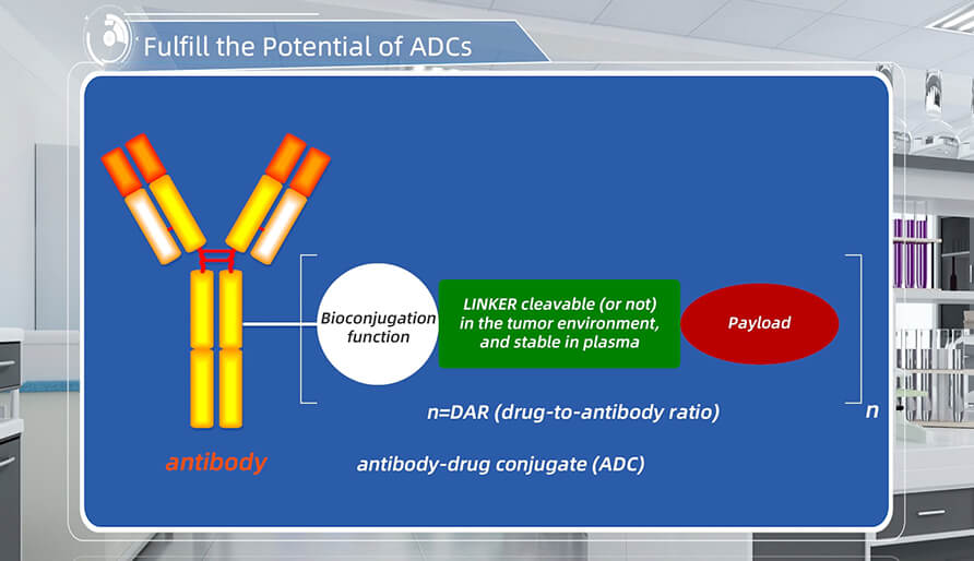發揮抗體偶聯藥物（ADCs）的全部潛力
